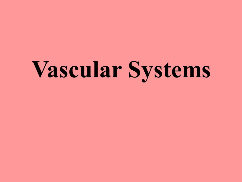 Vascular Systems